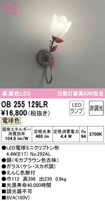 洛電市庭とは?