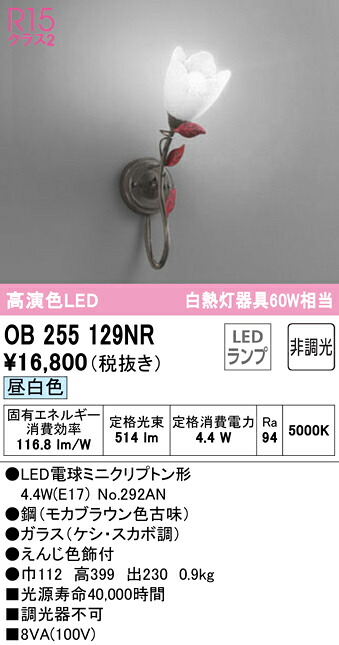 洛電市庭とは?
