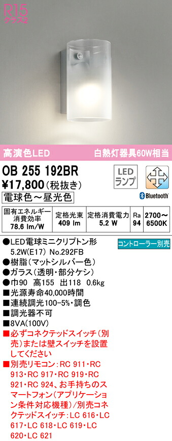 洛電市場とは?