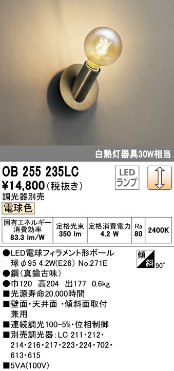 洛電市庭とは?