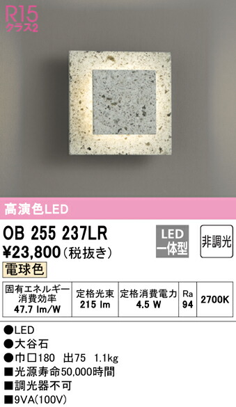 洛電市庭とは?