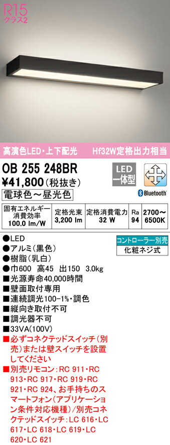 洛電市場とは?