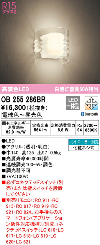 洛電市庭とは?