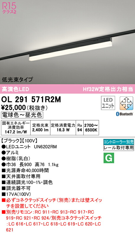洛電市庭とは?