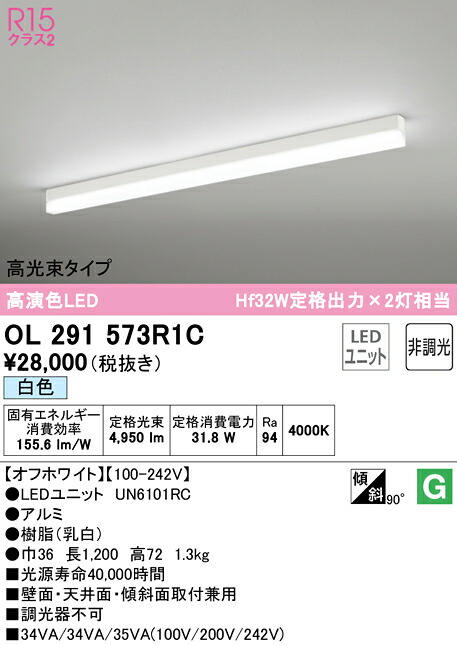 洛電市庭とは?