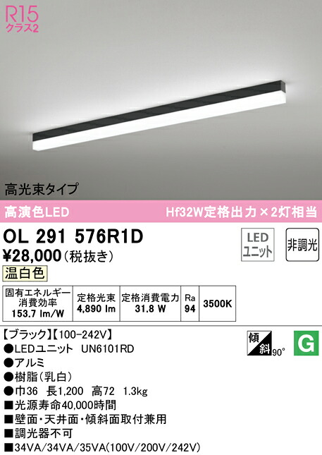 洛電市庭とは?