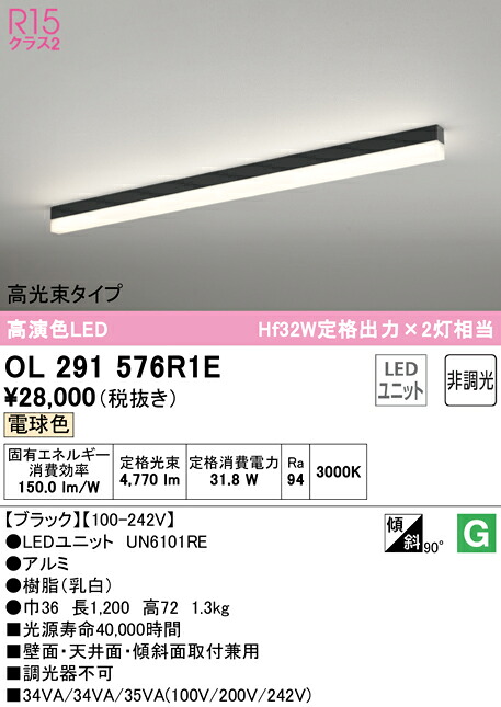 洛電市庭とは?