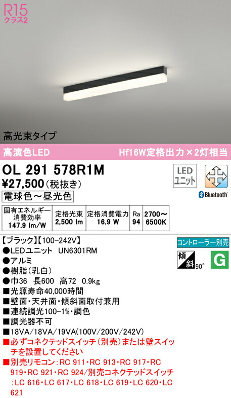 洛電市場とは?
