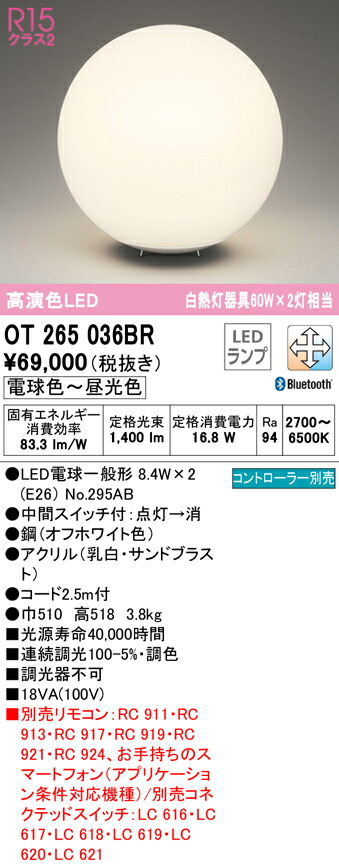 洛電市庭とは?
