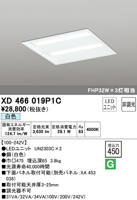 洛電市庭とは?