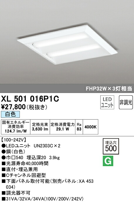 洛電市庭とは?
