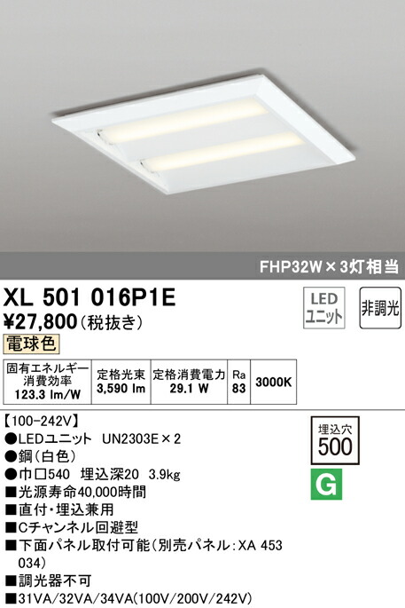 洛電市庭とは?