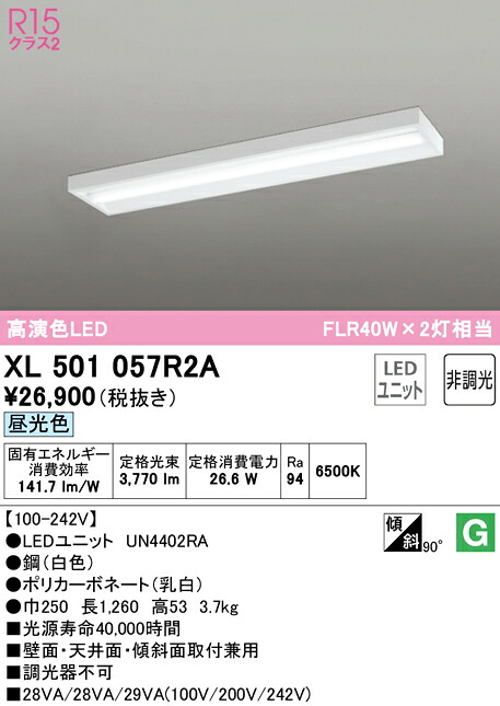 洛電市庭とは?