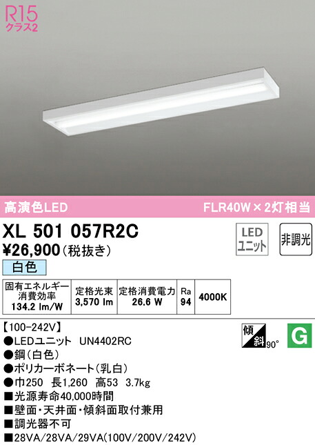 洛電市庭とは?