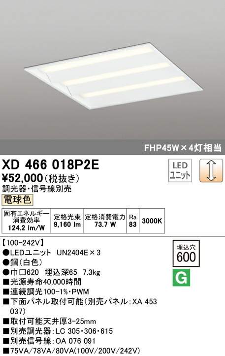 洛電市場とは?