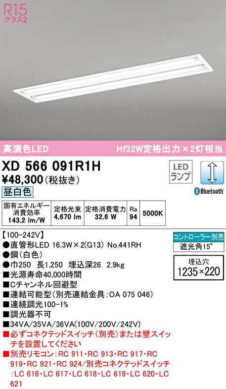 洛電市場とは?