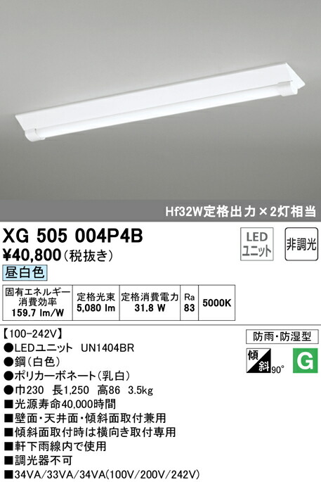 洛電市場とは?