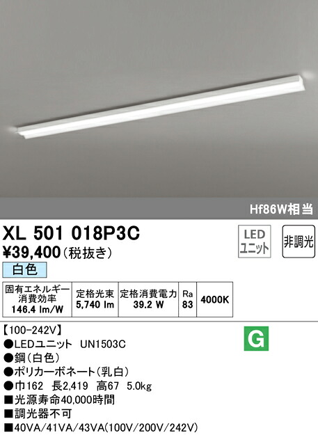 洛電市場とは?