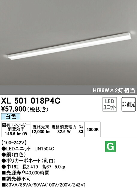 洛電市場とは?
