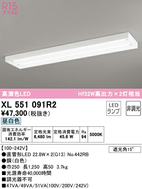 洛電市場とは?