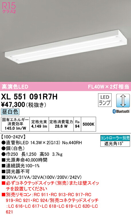 洛電市場とは?