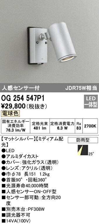 洛電市場とは?