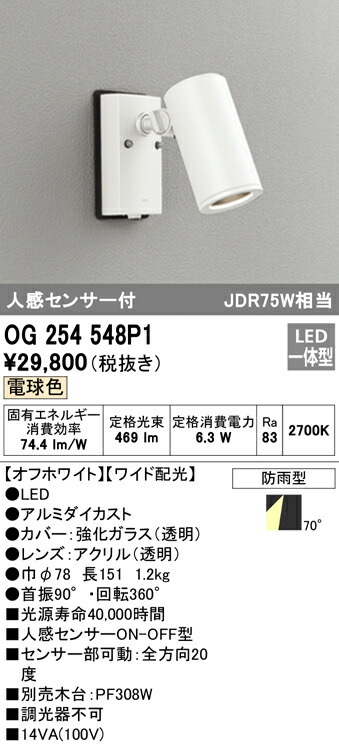 洛電市場とは?