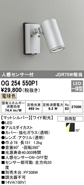 洛電市場とは?