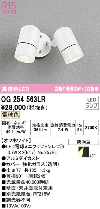 洛電市場とは?
