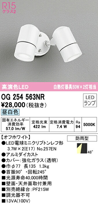 洛電市場とは?