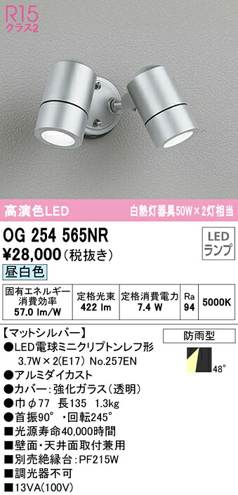 洛電市場とは?