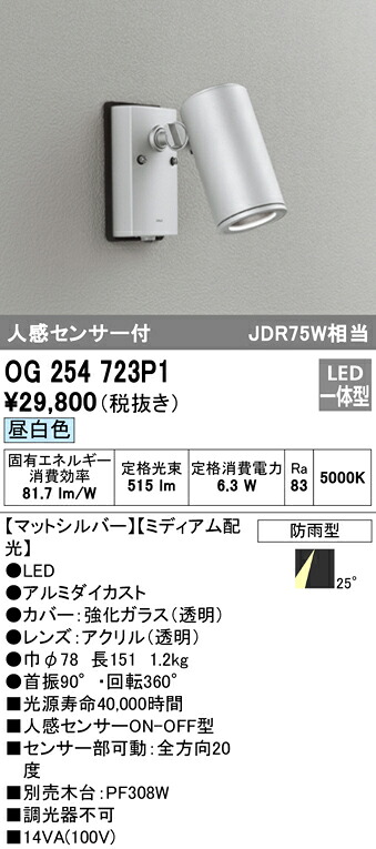 洛電市場とは?