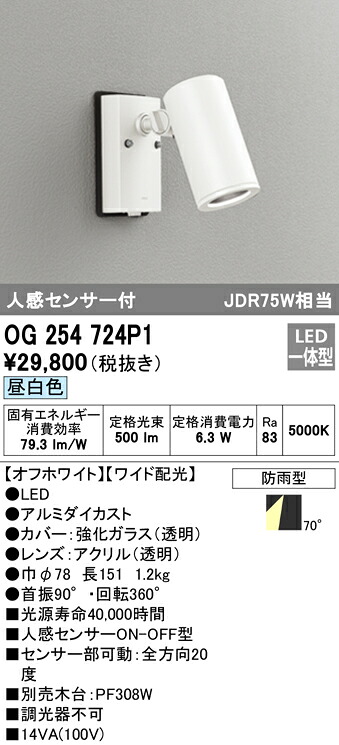 洛電市場とは?