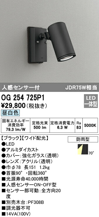 洛電市場とは?