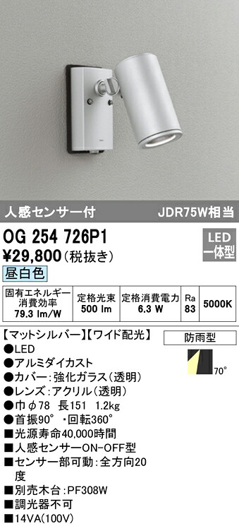 洛電市場とは?