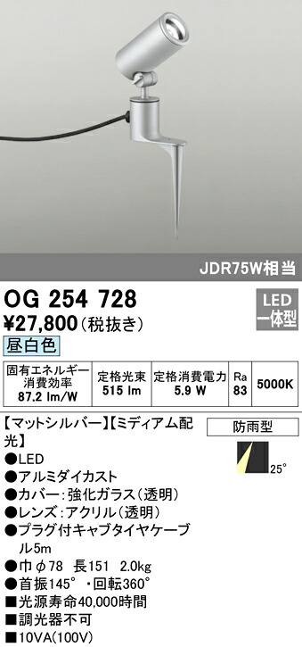 洛電市場とは?
