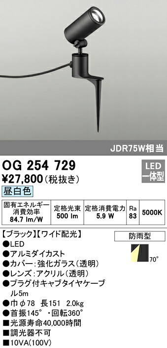 洛電市場とは?
