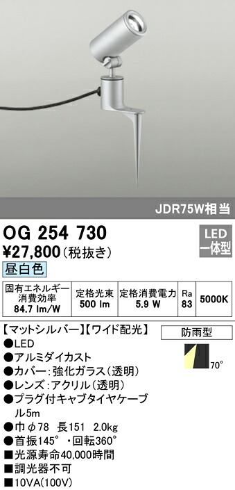 洛電市場とは?