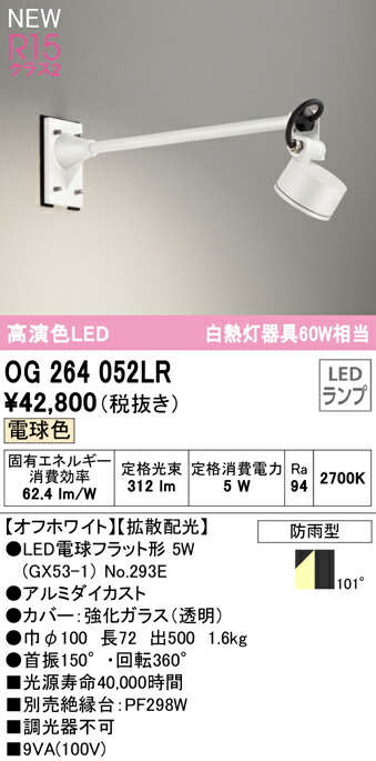 洛電市場とは?