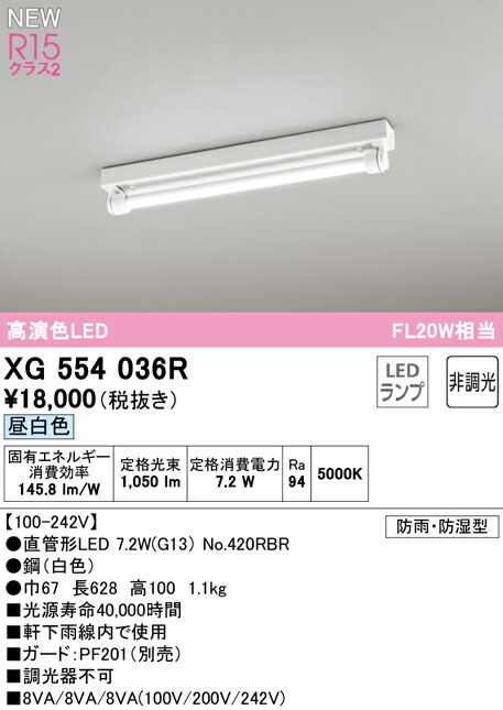 洛電市場とは?