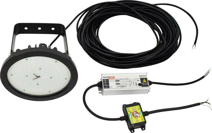 (LINEクーポン有)日動工業 L40HT-P-H120-50K LEDハイテンプディスク40 NICHIDO
