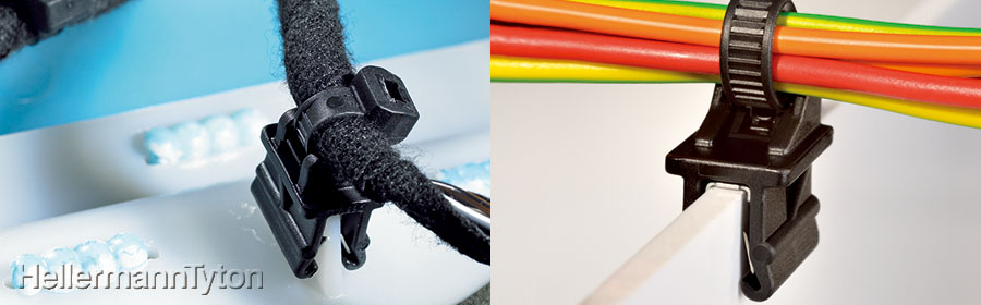 洛電市場とは?