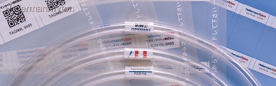洛電市場とは?