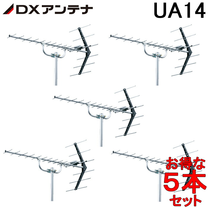 洛電市場とは?