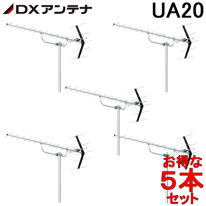 洛電市場とは?