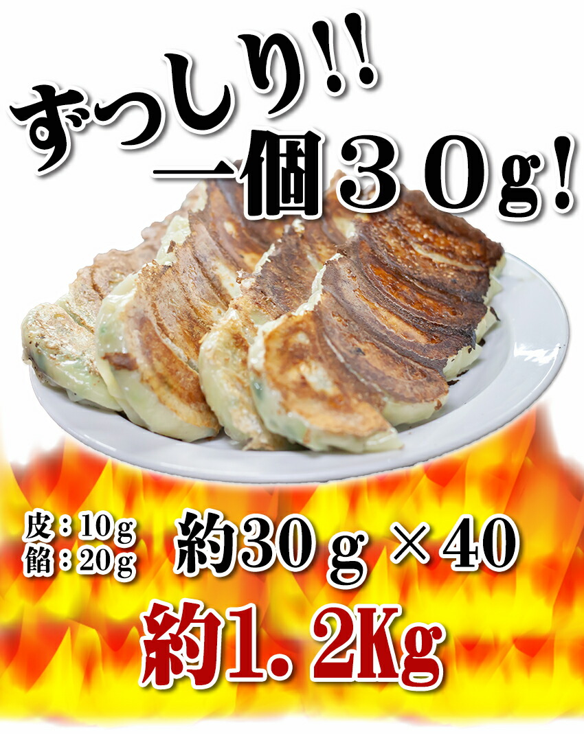 1つ1つ手包みしたプロ御用達餃子専門店の手作り餃子セット(40個入り)【餃子焼き餃子焼餃子美味しい餃子冷凍餃子手作り餃子餃子セット餃子ぎょうざギョウザセットおつまみ手作りお徳用業務用冷凍絶品お取り寄せビールのつまみグルメ国産】