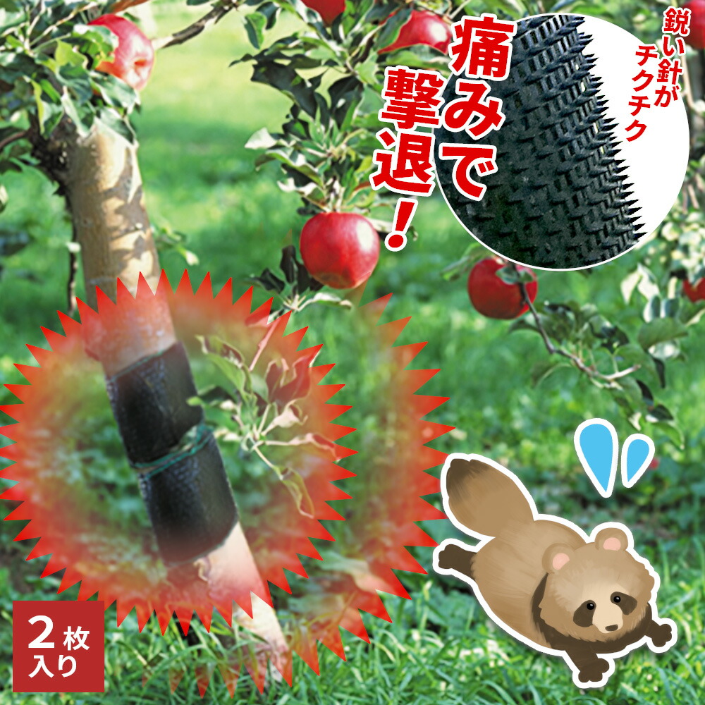 害獣駆除 英語通常 2枚セット 0629329.jpg