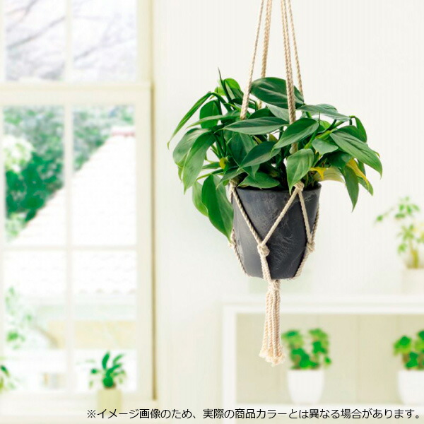 リッチェル ボタニー ハンギングポット 型 ホワイト W 鉢 植木鉢 ポット プランター 吊り鉢 丸型 つるす ナチュラル ガーデニング 吊鉢 吊り下げ プラスチック 園芸鉢 号 ボタニー Marcsdesign Com