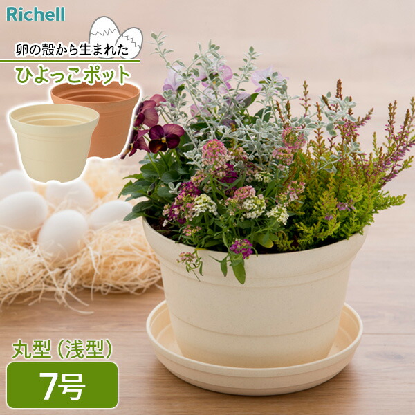 ミニ鉢植用ポット　６種類セット ミニ鉢植用ポット 6種類セット