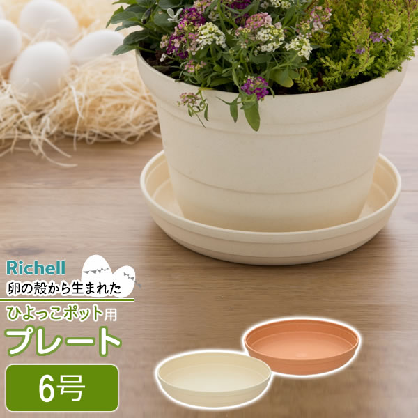 ひよっこ fci.jpg